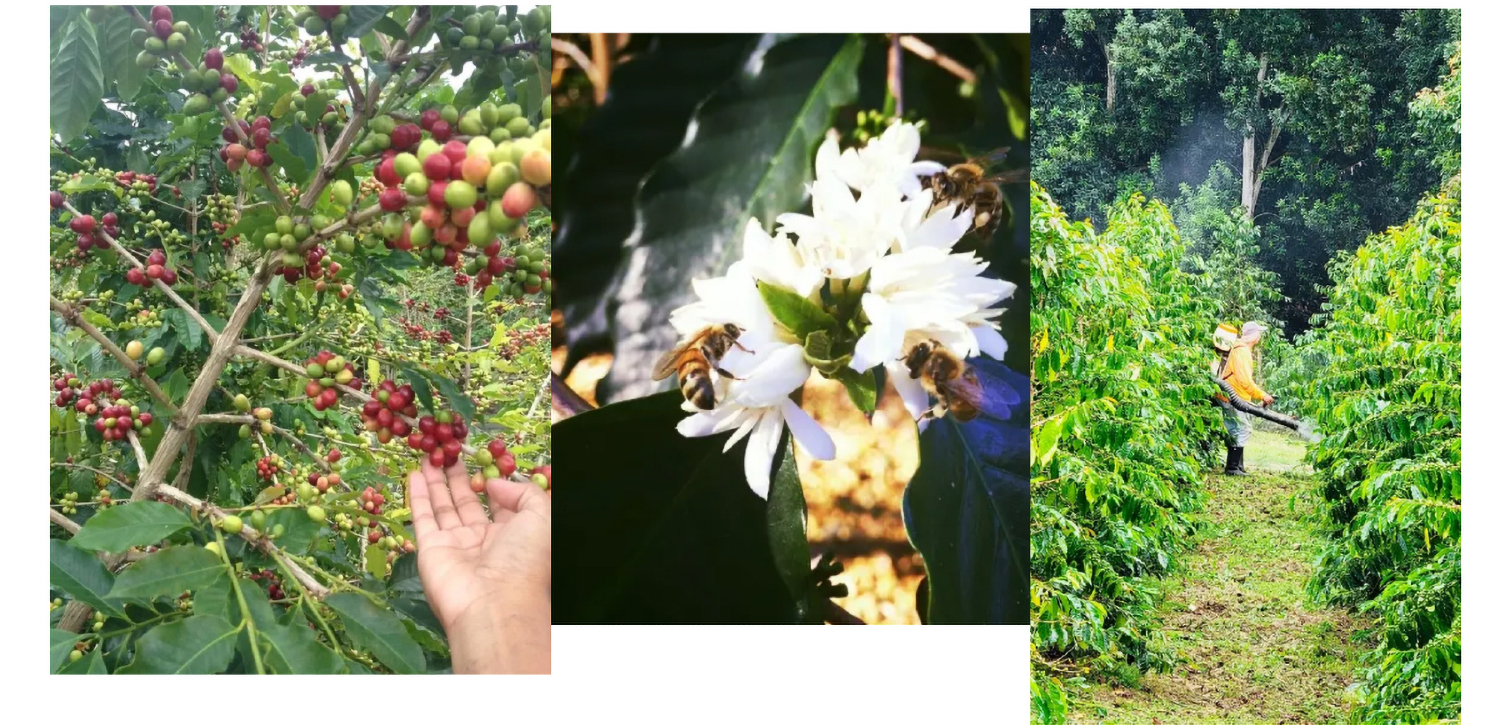 8c6efd3caa4268a99ca2028d5c1e6995_1769769326_2031.jpg 8c6efd3caa4268a99ca2028d5c1e6995_1769769326_2031.jpg