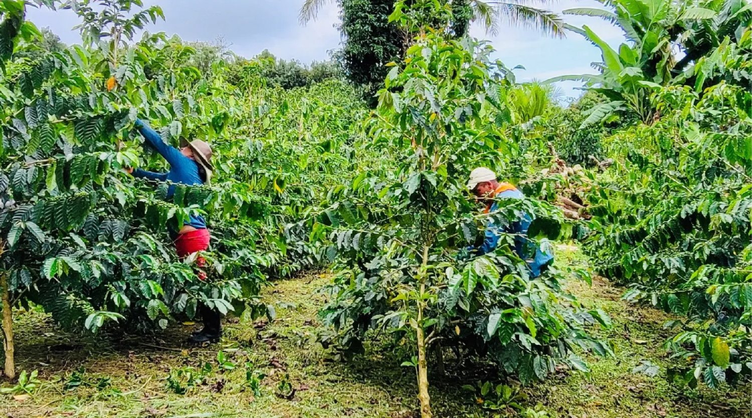 8c6efd3caa4268a99ca2028d5c1e6995_1769769333_2412.jpg 8c6efd3caa4268a99ca2028d5c1e6995_1769769333_2412_1769769453.jpg