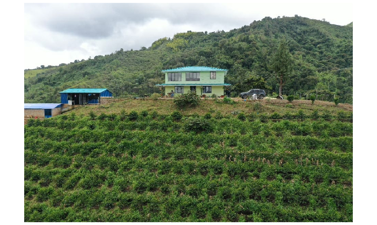 e6f44717991e6c070628bec19da1390a_1769802213_9162.jpg e6f44717991e6c070628bec19da1390a_1769802213_9162_1769868757.jpg