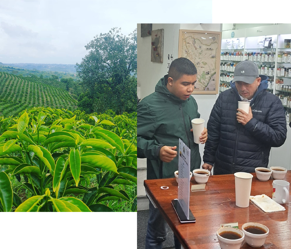 e6f44717991e6c070628bec19da1390a_1769802355_7754.jpg e6f44717991e6c070628bec19da1390a_1769802355_7754_1769868757.jpg