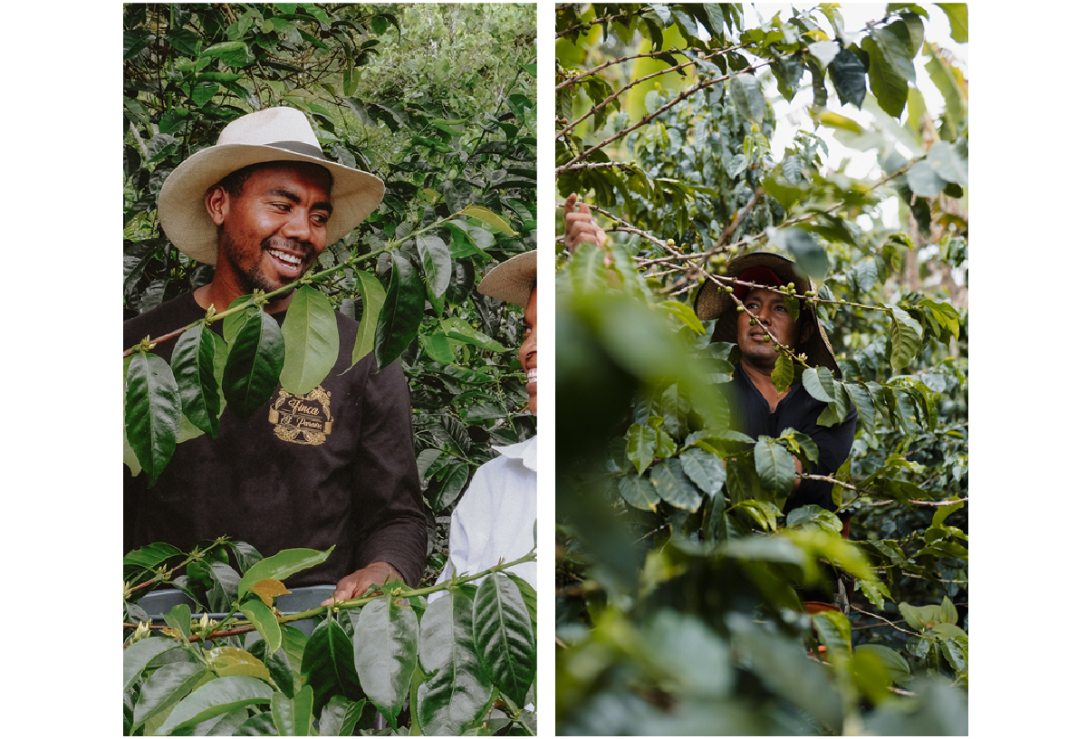 e6f44717991e6c070628bec19da1390a_1769802449_4337.jpg e6f44717991e6c070628bec19da1390a_1769802449_4337_1769868757.jpg