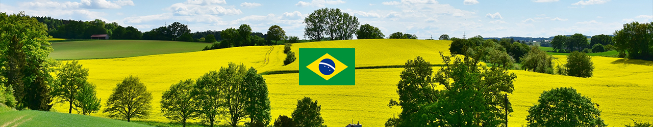 38d41563d9e587b61a3a1166fae4ed2c_1770023827_5799.jpg 38d41563d9e587b61a3a1166fae4ed2c_1770023827_5799.jpg