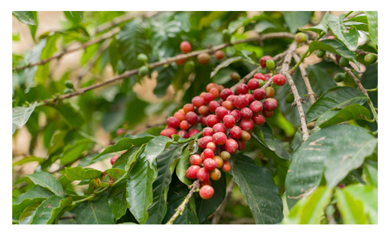 78bf5c7661e61e38f78b8796c7e03a90_1770982098_3957.jpg 78bf5c7661e61e38f78b8796c7e03a90_1770982098_3957.jpg