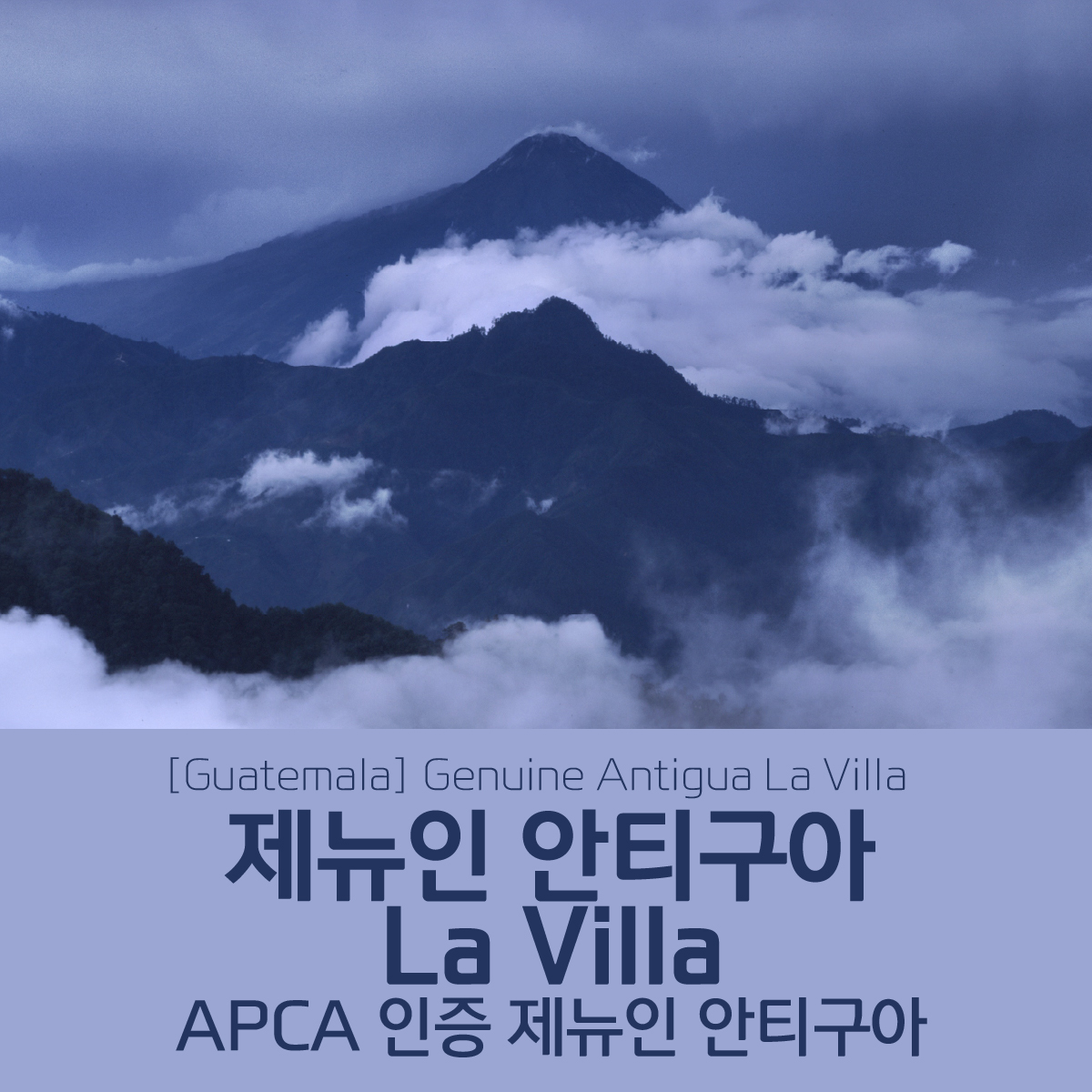 [과테말라] SHB 제뉴인 안티구아 라 비야