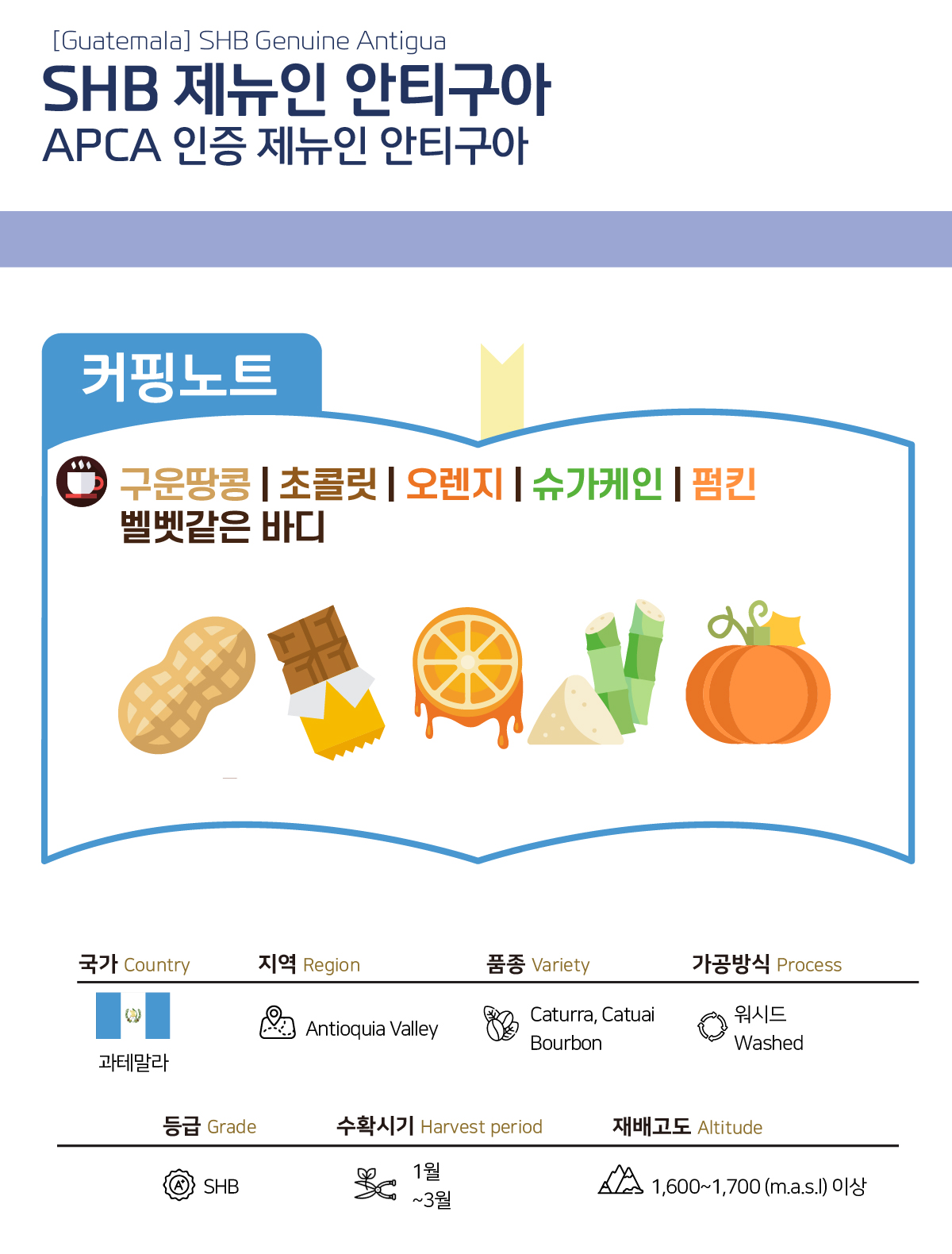 [과테말라] SHB 제뉴인 안티구아 라 비야