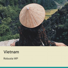 [베트남]로부스타 WP