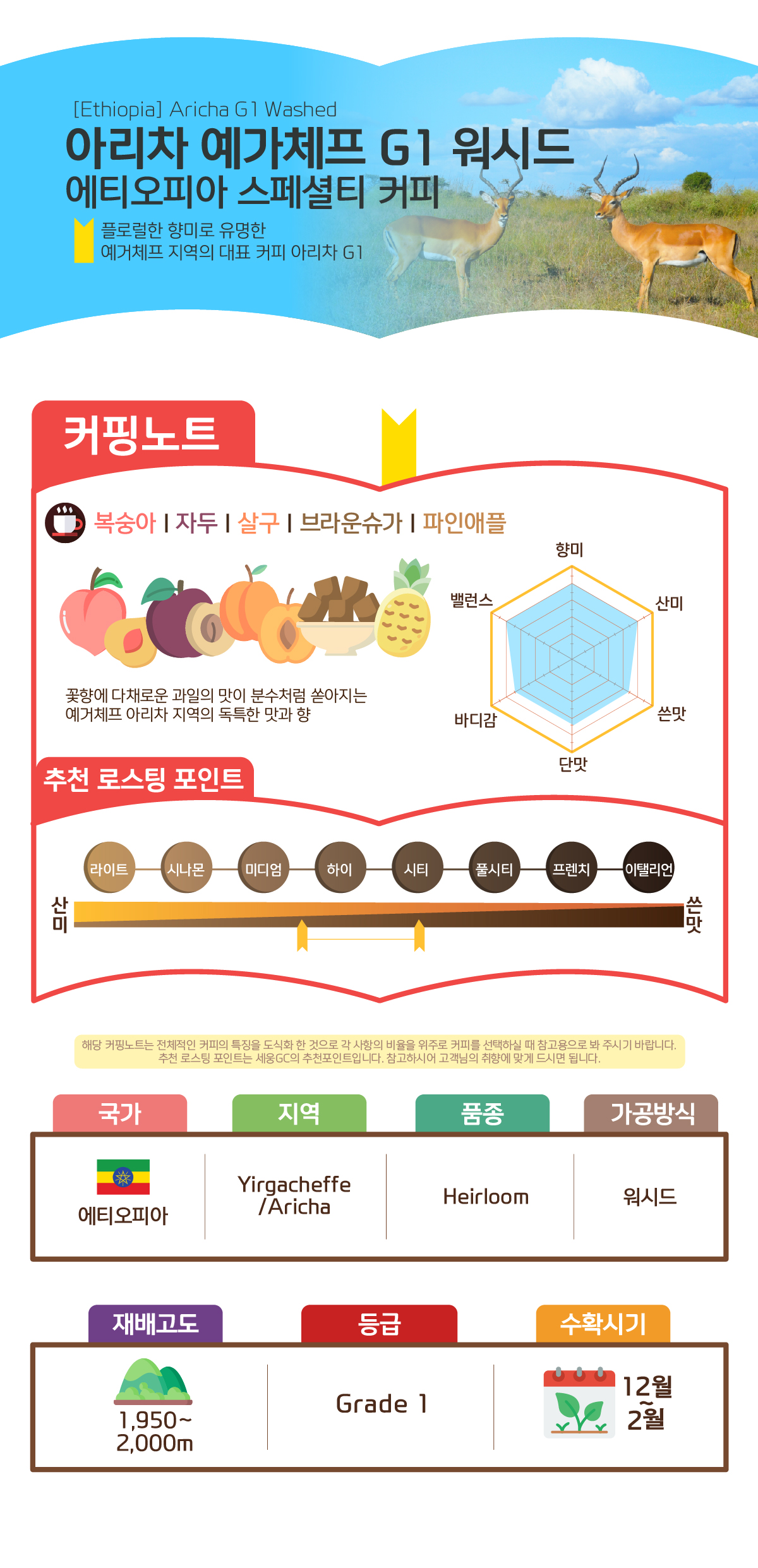 [에티오피아] 아리차 G1 워시드