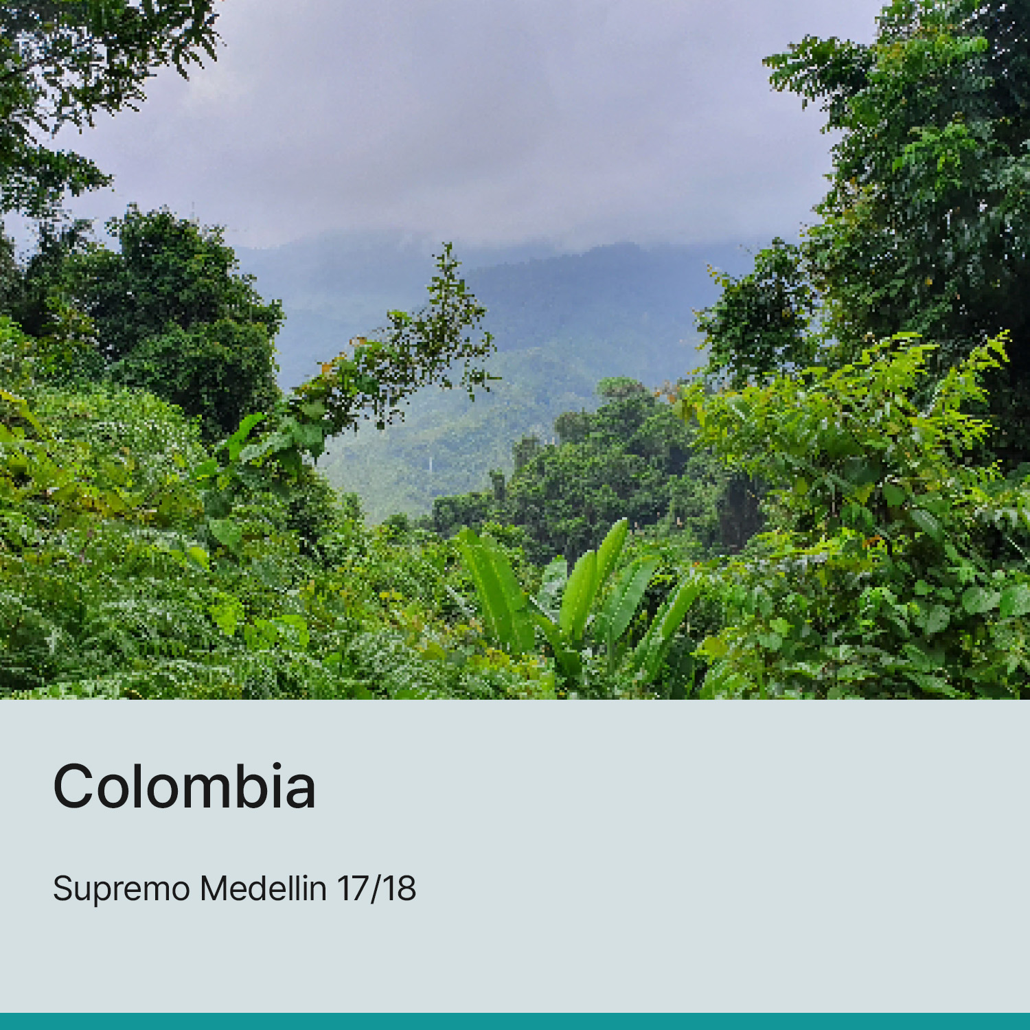 [콜롬비아] 수프리모 메델린 17/18