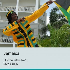 블루마운틴 No.1 마비스뱅크