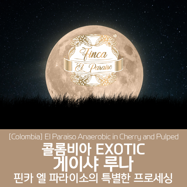 [가격인하] 콜롬비아 EXOTIC 게이샤 루나 - 핀카 엘 파라이소