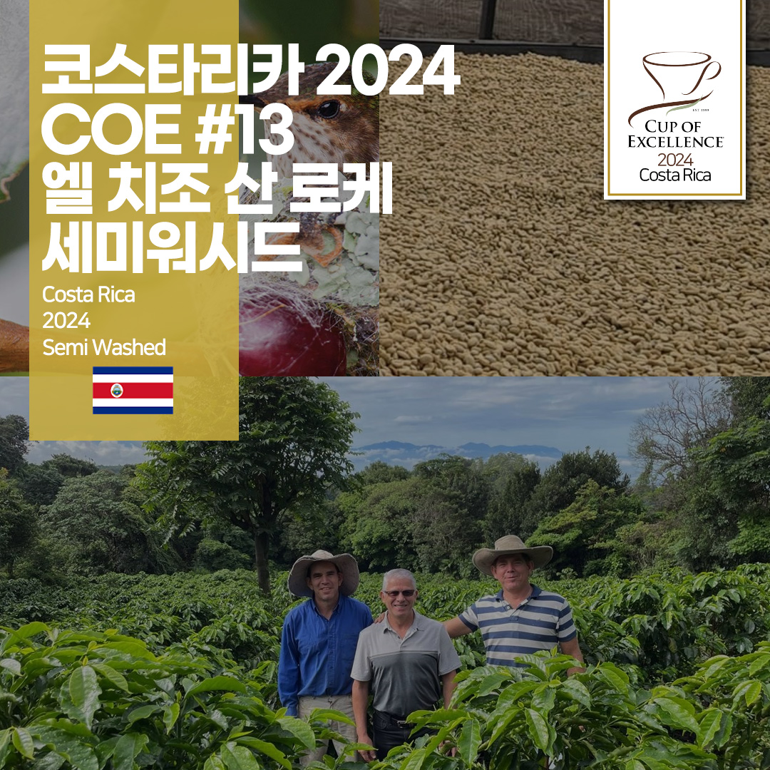 [가격인하][코스타리카] 2024 COE #13 엘 치조 산 로케 세미워시드