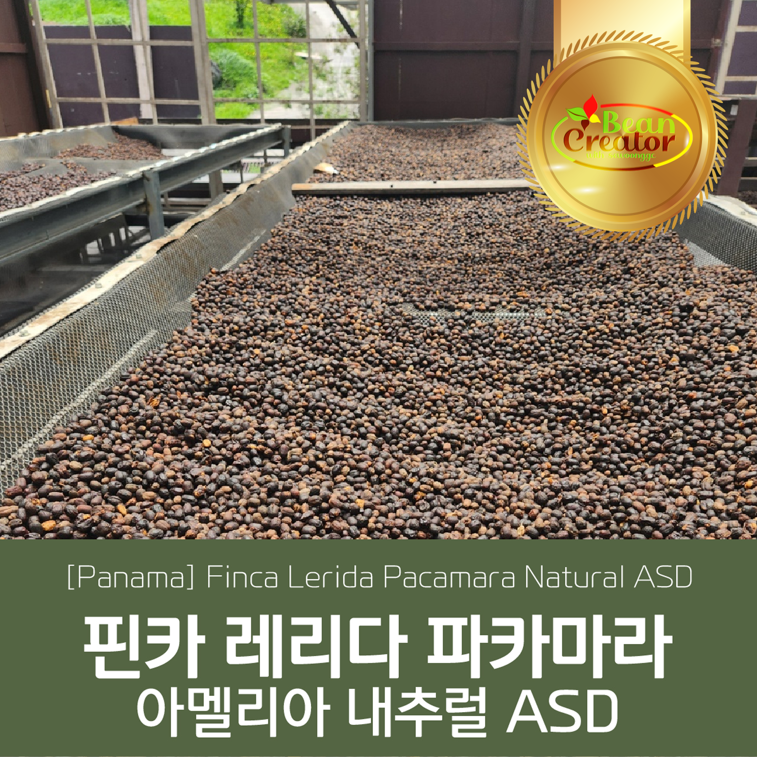 [가격인하][파나마] 핀카 레리다 파카마라 아멜리아 내추럴 ASD