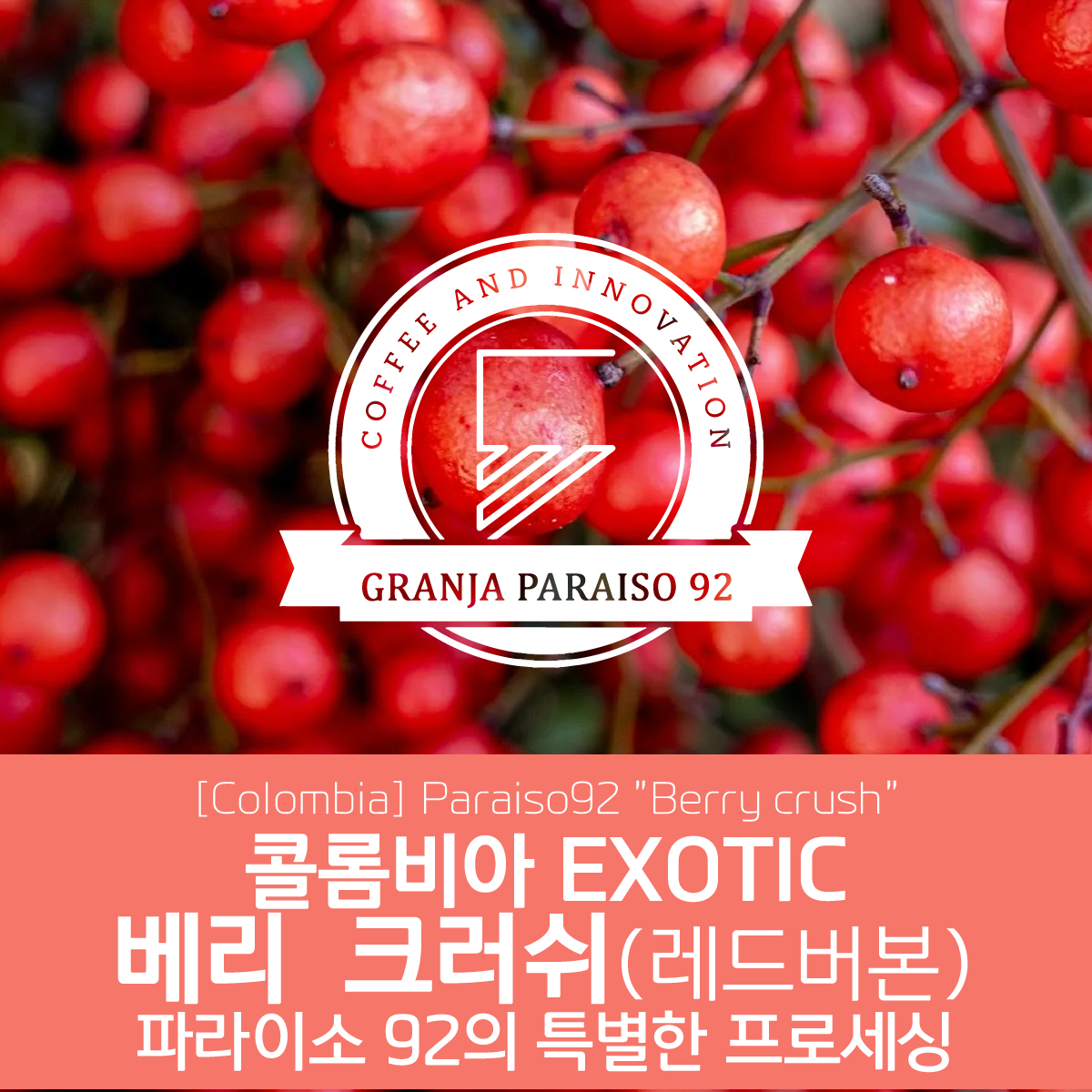 [가격인하][콜롬비아] EXOTIC 파라이소 92 베리 크러쉬
