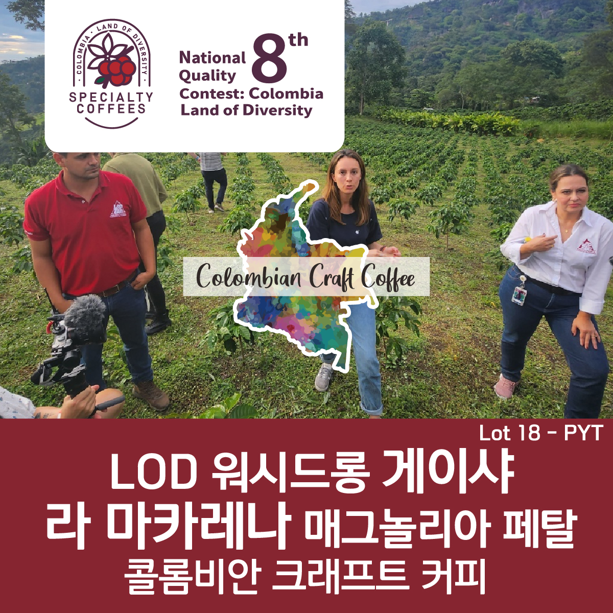 [가격인하][콜롬비아]라 마카레나 매그놀리아 페탈 게이샤