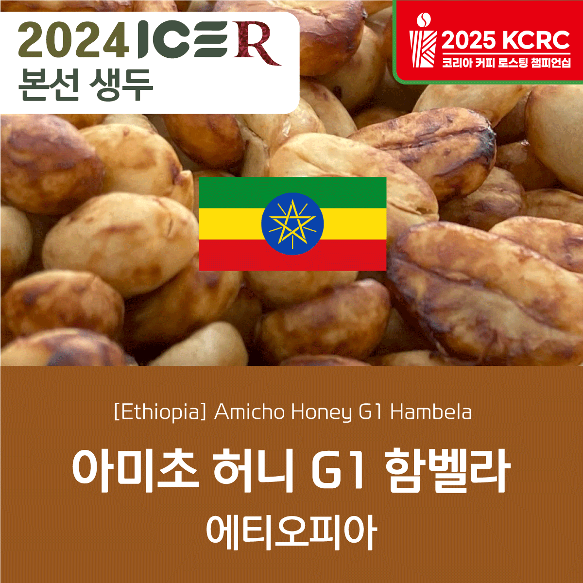 [가격인하][에티오피아] 아미초 허니 G1 함벨라