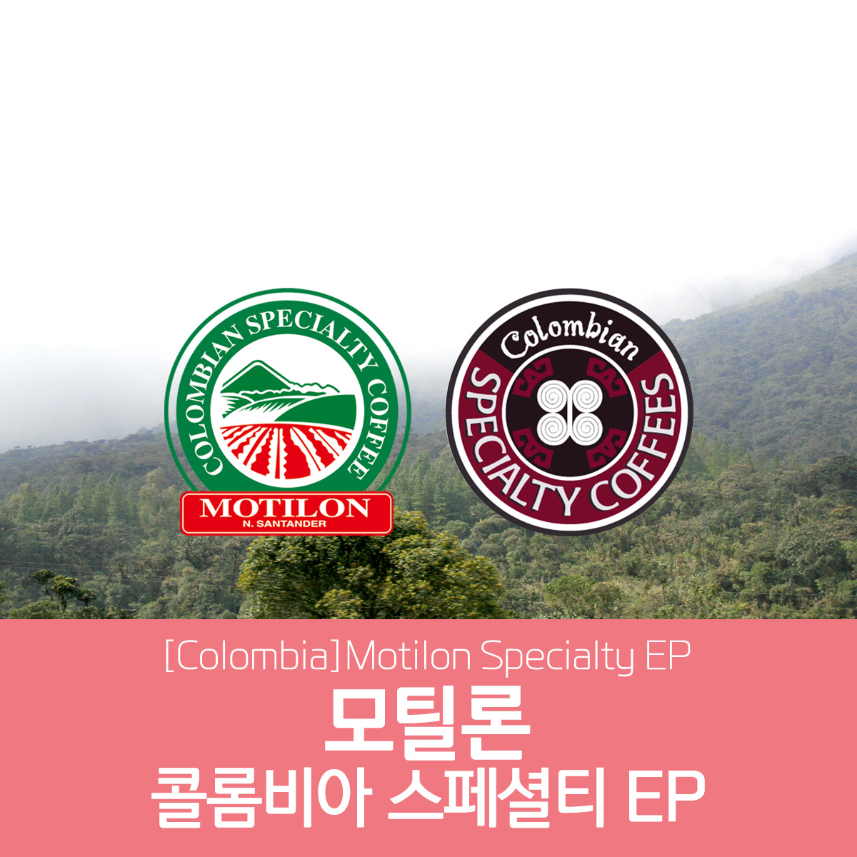 [콜롬비아] 모틸론 스페셜티 EP