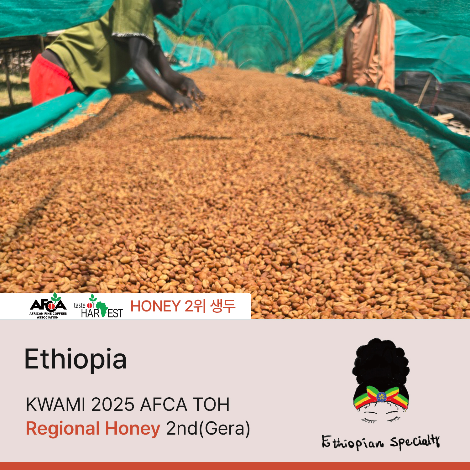 [재입고][에티오피아]  콰미 2025 AFCA TOH 리저널 허니 2위