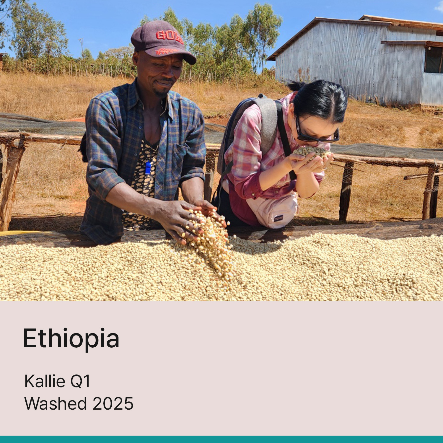 [에티오피아] 칼리 Q1 워시드 2025