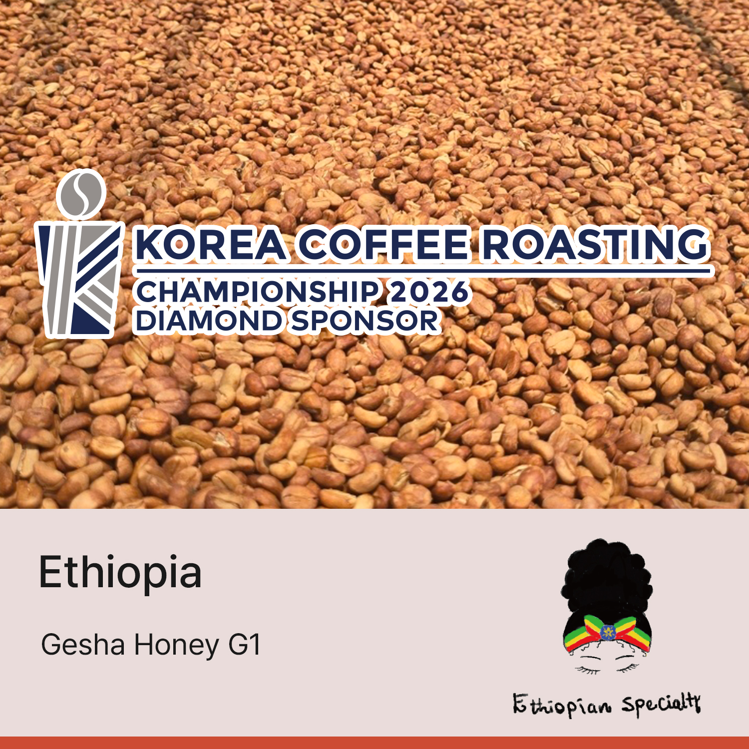 [세웅지씨's Pick!] [에티오피아] 콰미 게샤 허니 G1