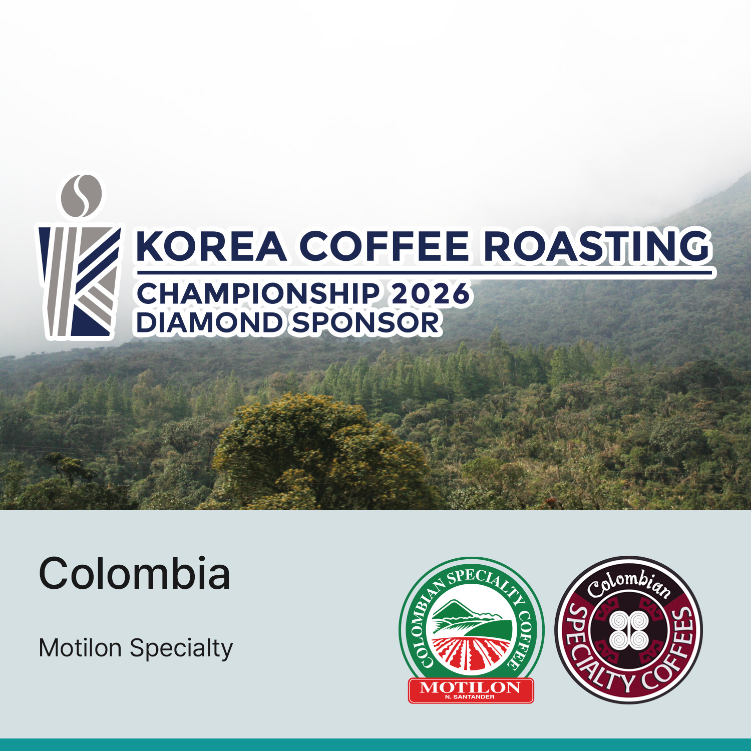 [콜롬비아] 모틸론 스페셜티