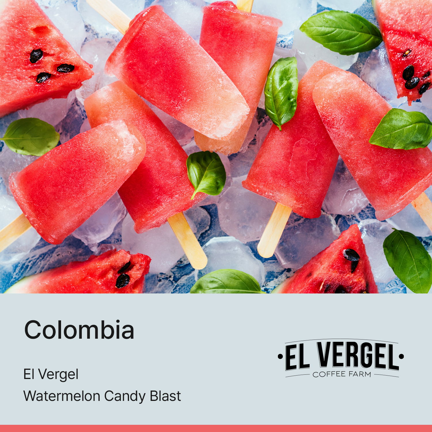 [콜롬비아] 워터멜론 캔디 블라스트