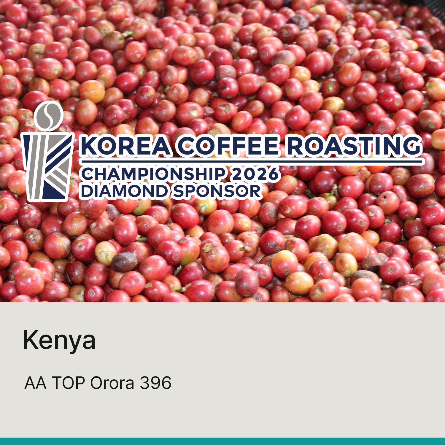 [케냐] AA TOP 오로라 396