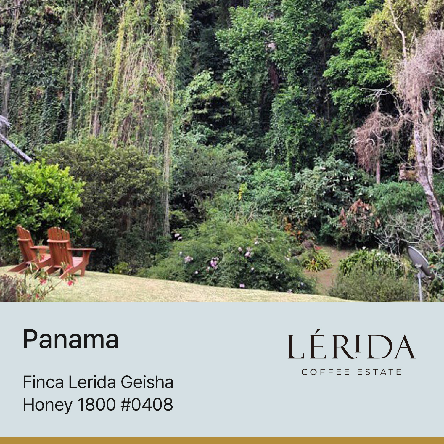 [파나마] 핀카 레리다 게이샤 허니 1800 #0408