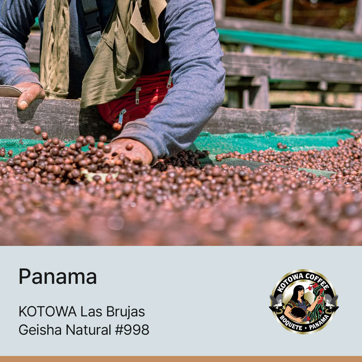 [파나마] 카페 코토와 라스브루하스 내추럴 #998