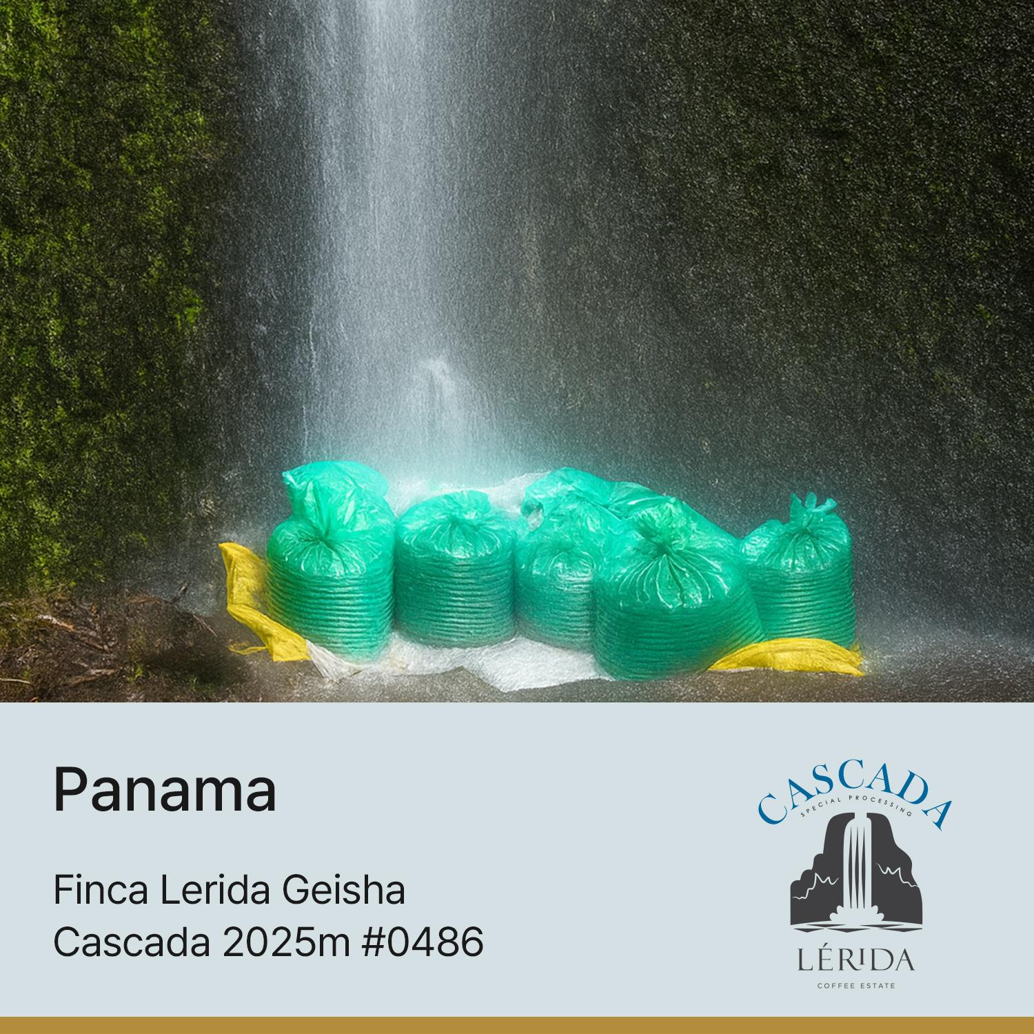 [파나마] 핀카 레리다 게이샤 내추럴 2025m Cascada #0486