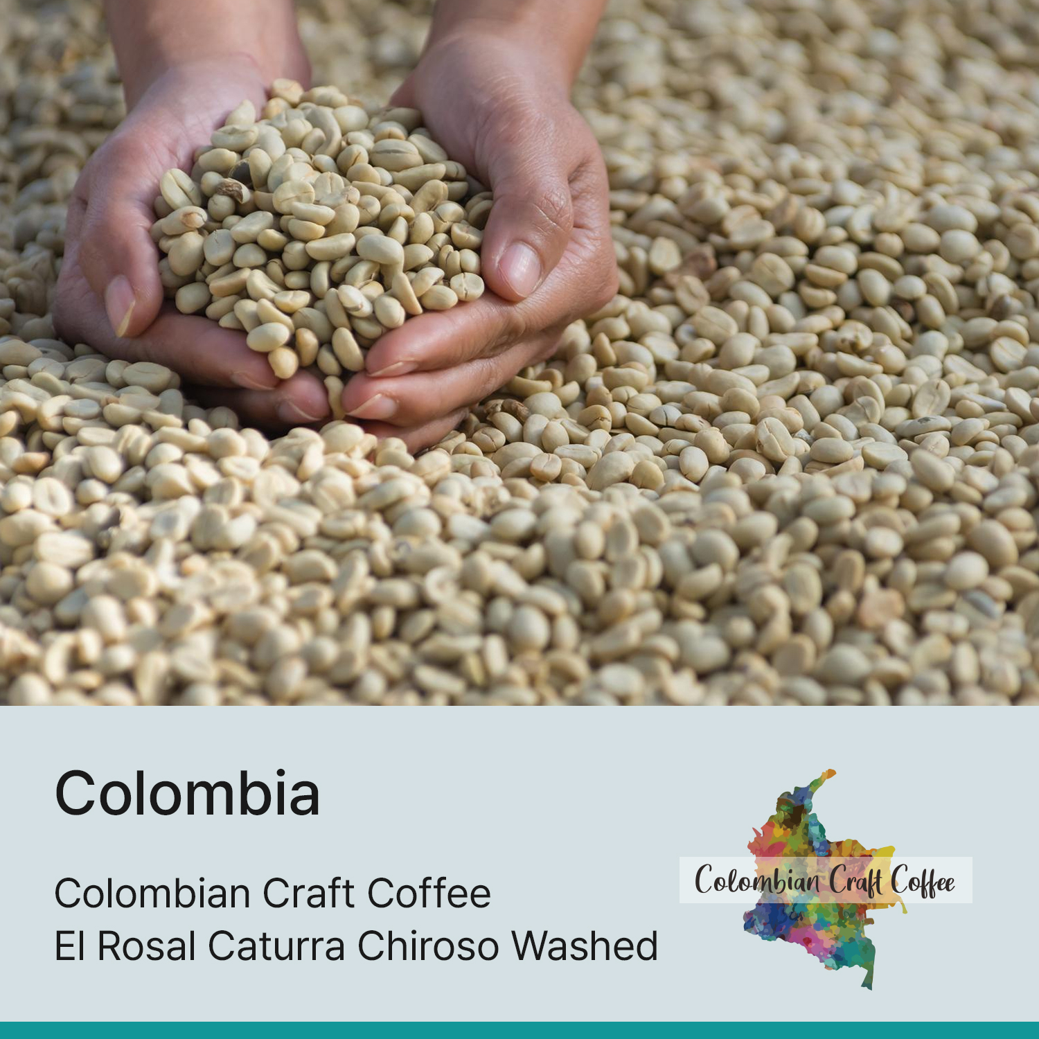 [콜롬비아] 엘 로살 카투라 치로소 워시드