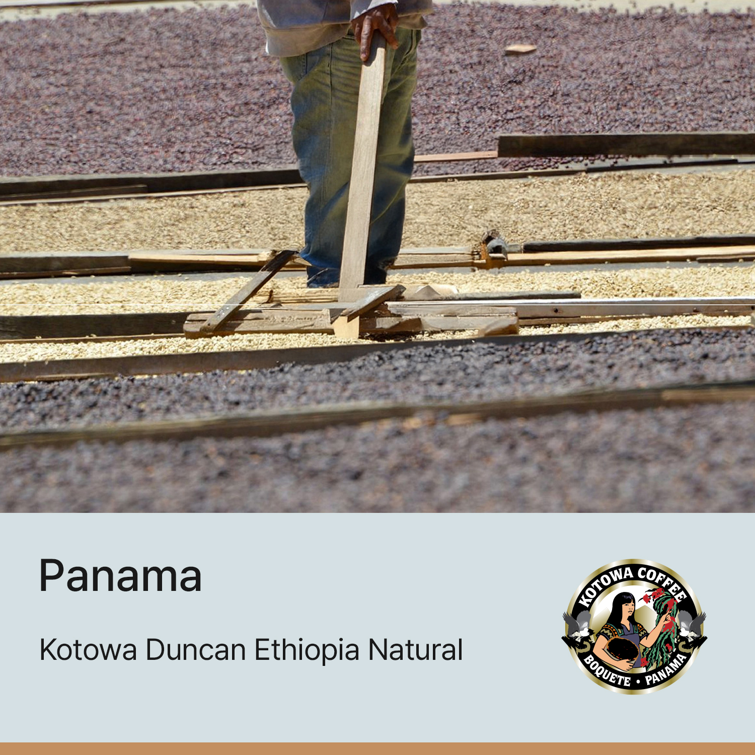 [파나마] 카페 코토와 던칸 에티오피아 내추럴
