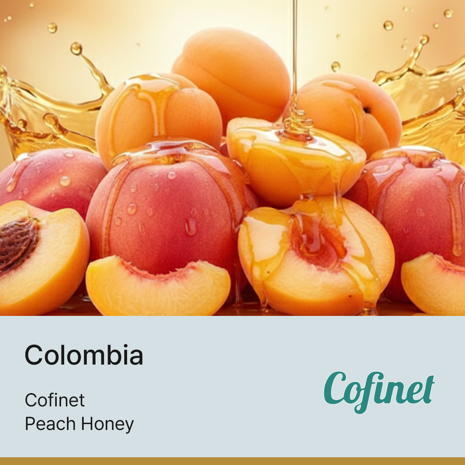 [콜롬비아] EXOTIC 코피넷 피치 허니