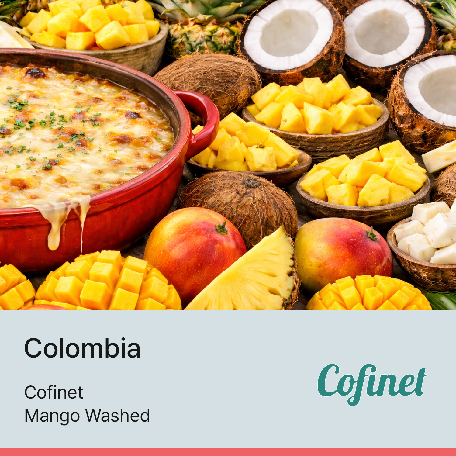 [콜롬비아] EXOTIC 코피넷 망고 워시드