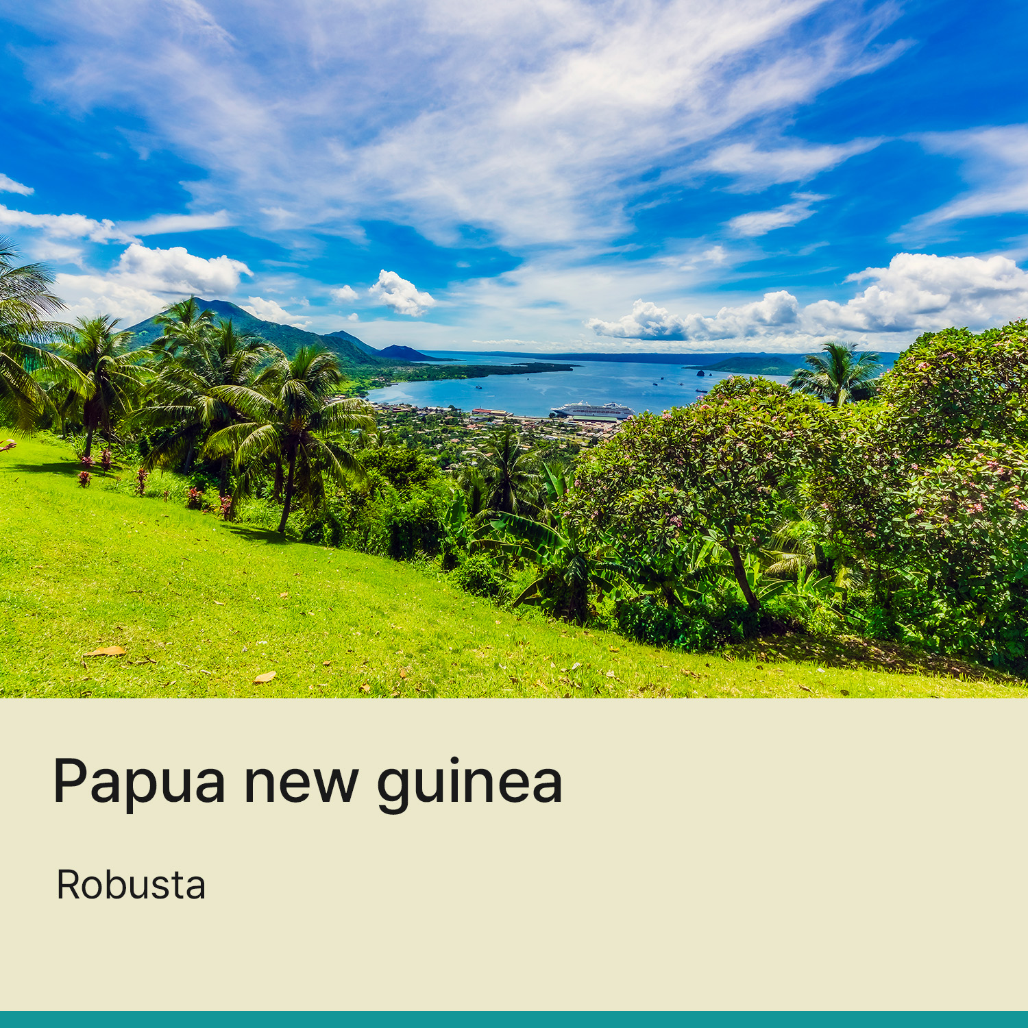 [파푸아뉴기니] 로부스타