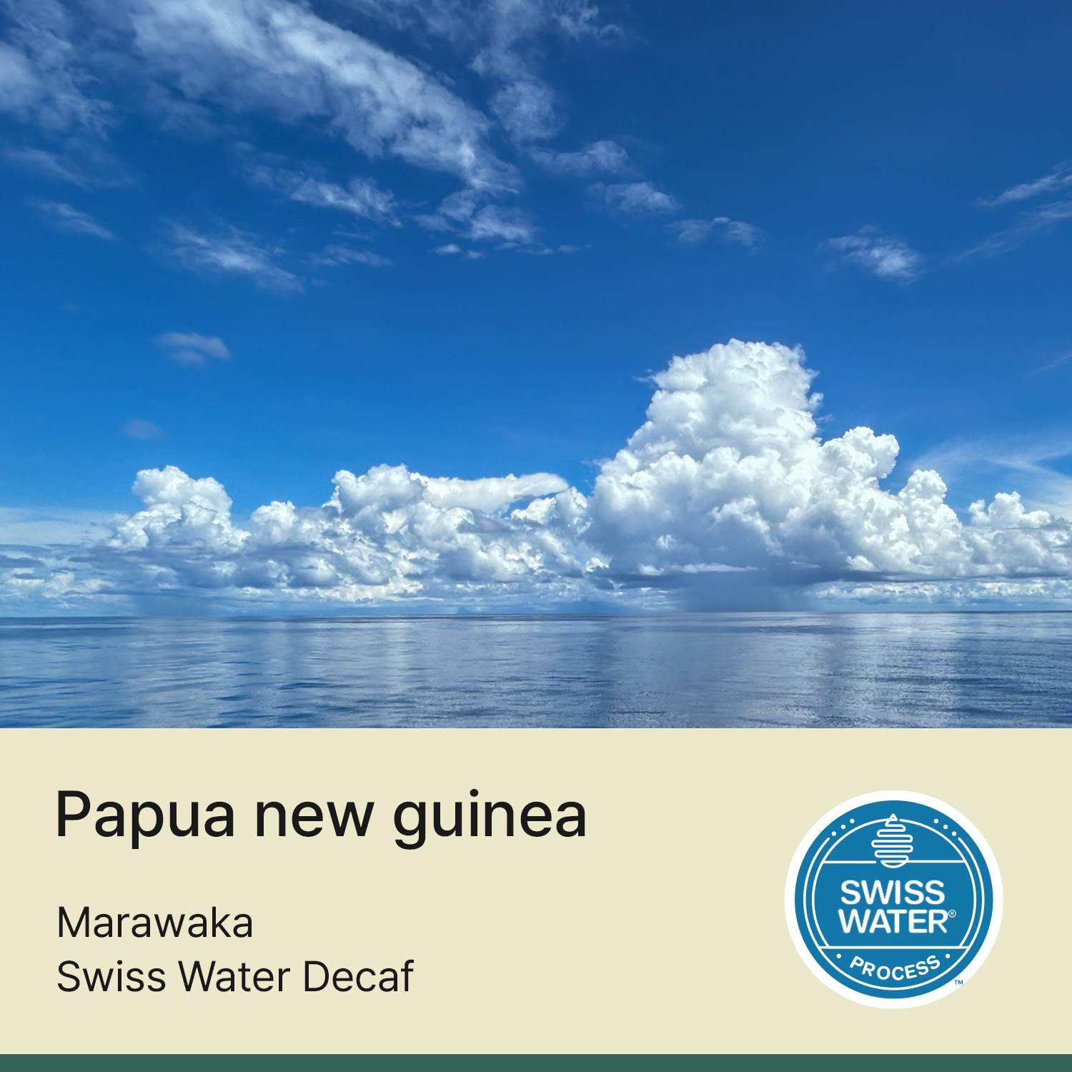 [디카페인] 파푸아뉴기니 마라와카 스위스워터 디카프