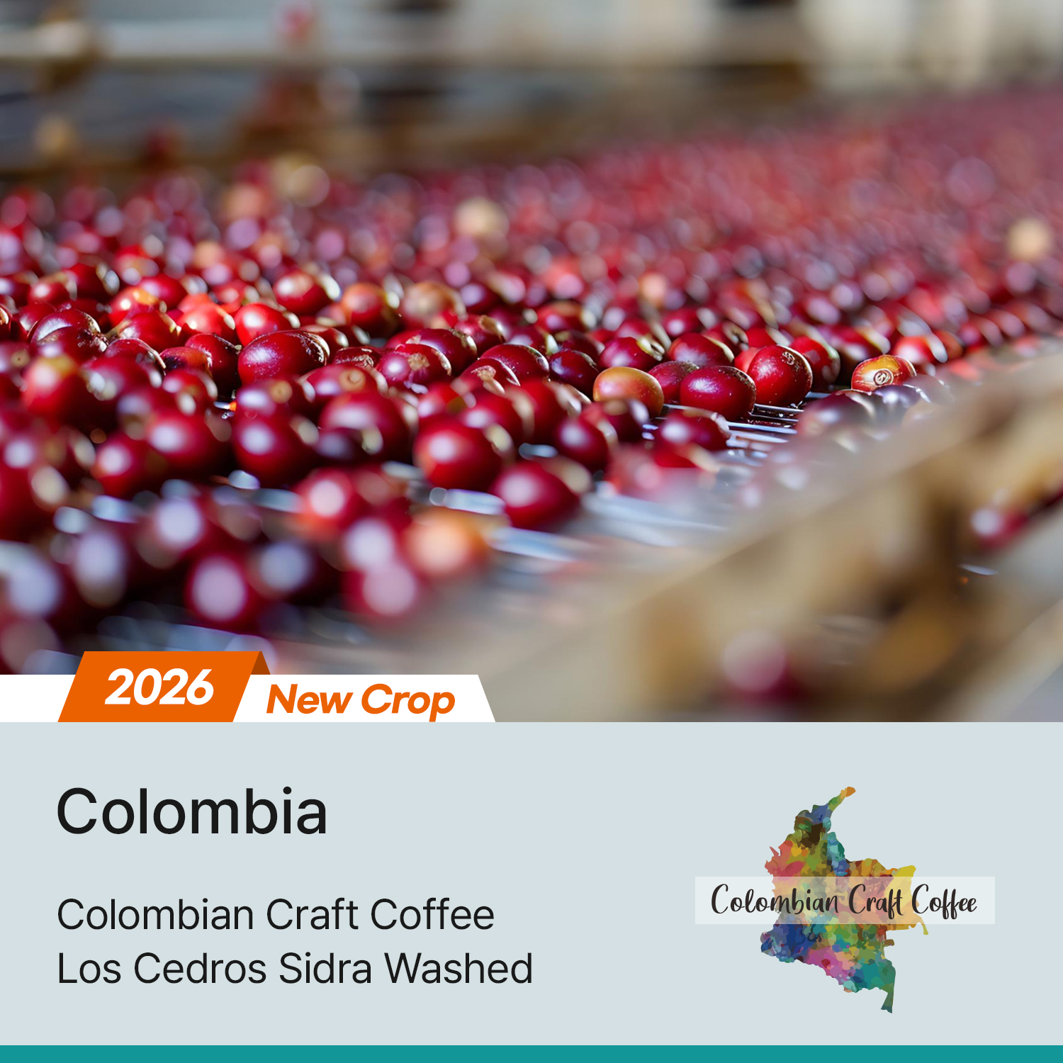 [콜롬비아] 로스 세드로스 시드라 워시드