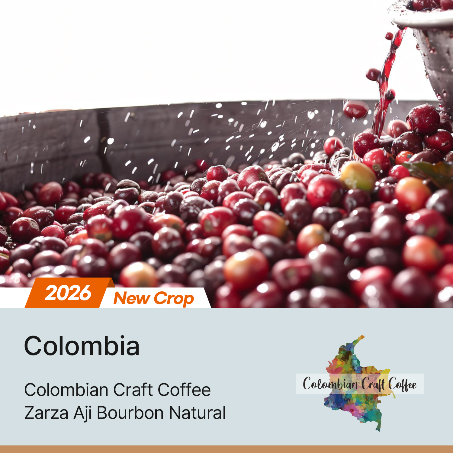 [콜롬비아] 사르사 아히 버번 내추럴