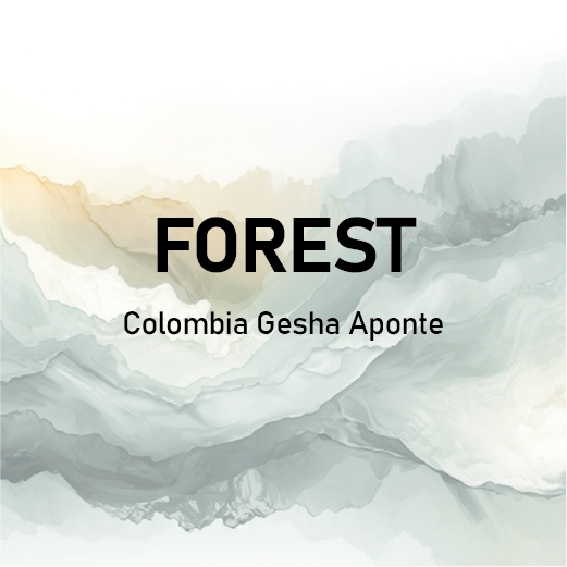 FOREST Colombia Gesha Aponte