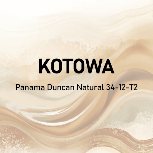 KOTOWA Panama Duncan Natural 34-12-T2