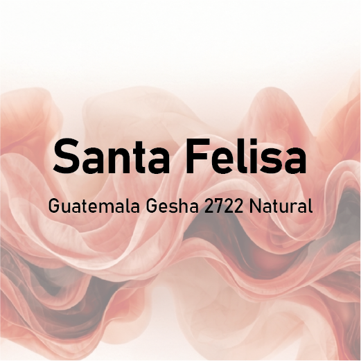 Santa Felisa Guatemala Gesha 2722 Natural
