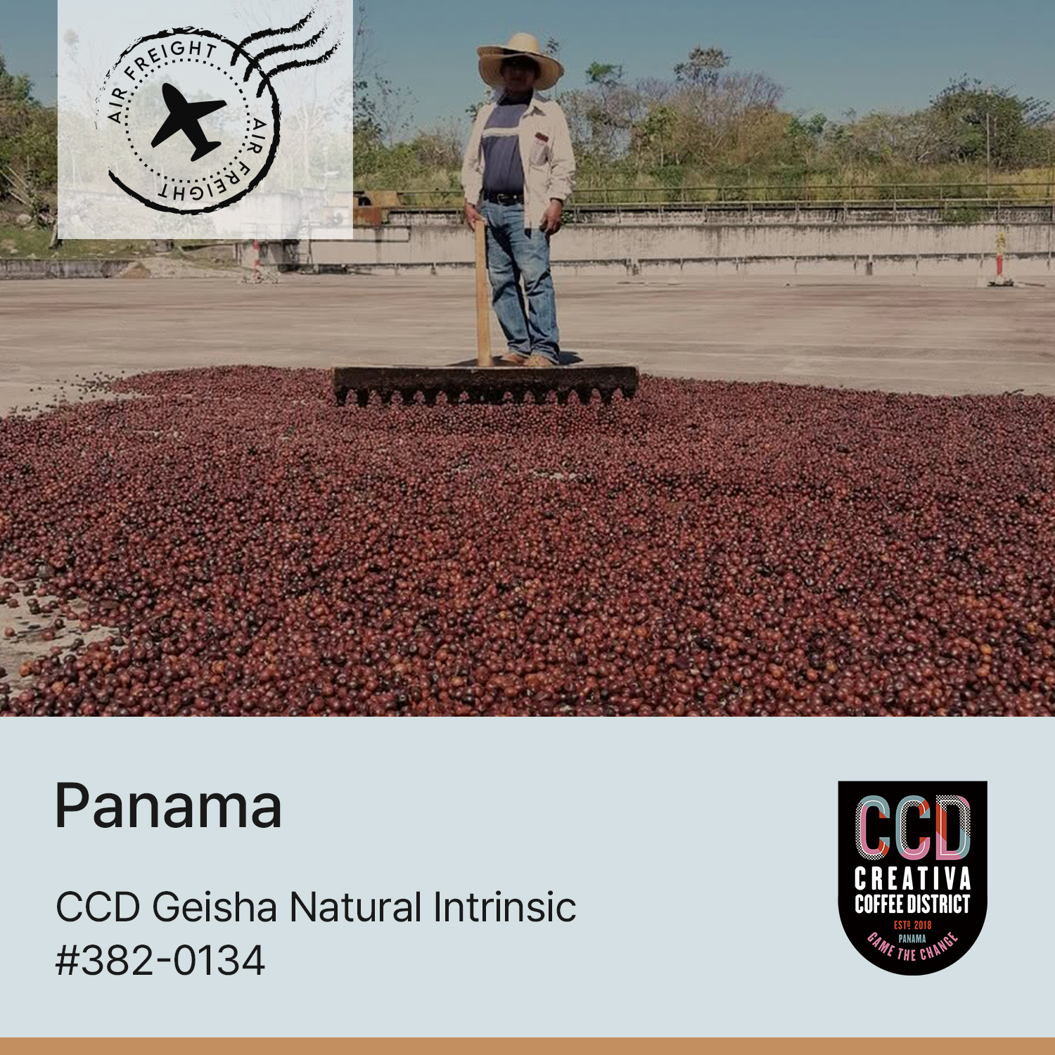 [파나마] CCD 게이샤 인트린직 #382-0134