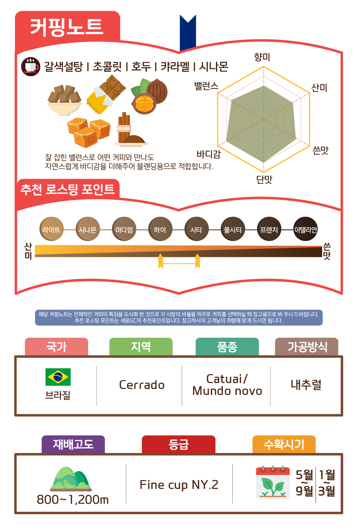 [브라질] NY2 FC 세하도