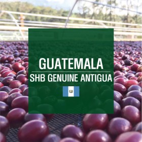 [Guatemala] SHB Genuine Antigua
