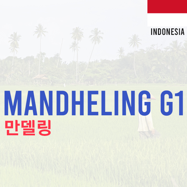 [Indonesia] Mandheling G1