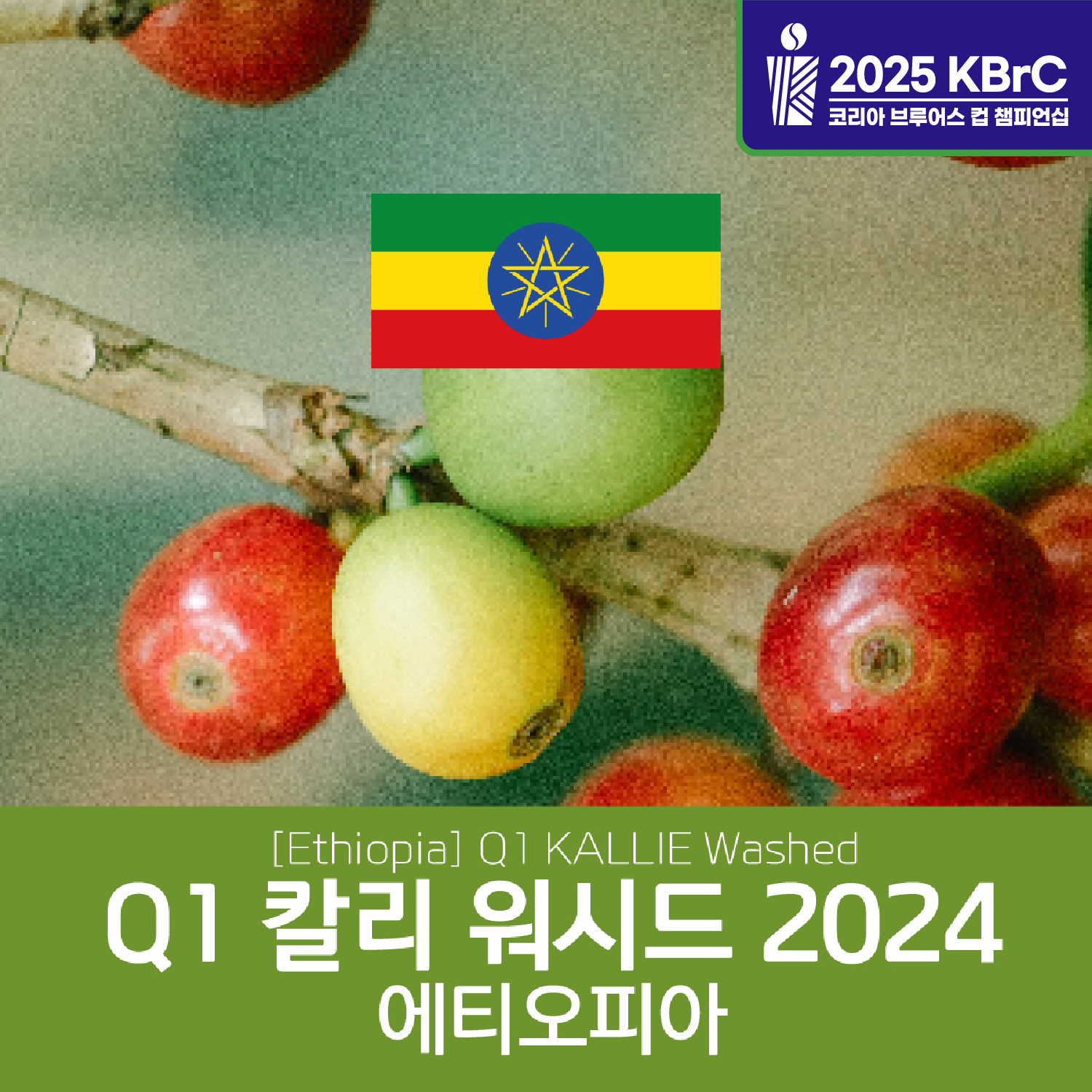 [가격인하][에티오피아] Q1 칼리 워시드 2024
