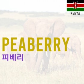 [Kenya] Peaberry