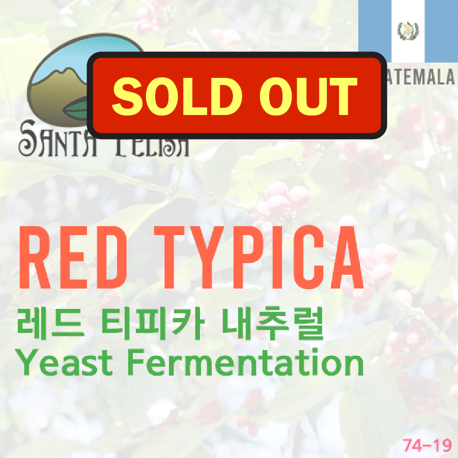 Red Typica Yeast Fermentation