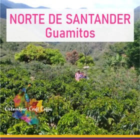 NORTE DE SANTANDER / Guamitos