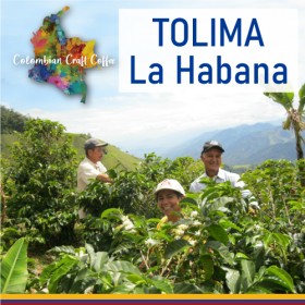 TOLIMA / La Habana (SOLD OUT)_11556