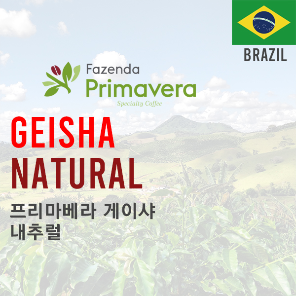 [Brazil] Geisha Natural 1kg